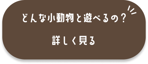 どんな小動物と遊べるの？へのリンク