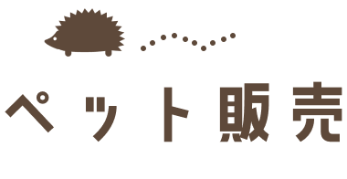 ペット販売